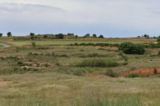 Terreno de 4 hectáreas cerca de Requena