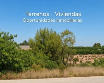 Terrenos y viviendas, oportunidades inmobiliarias
